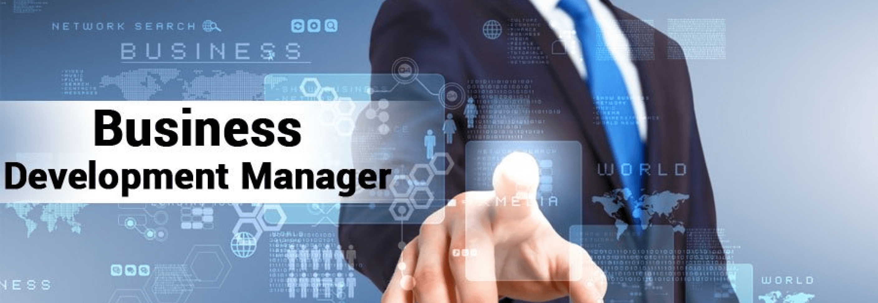 Business Development Manager