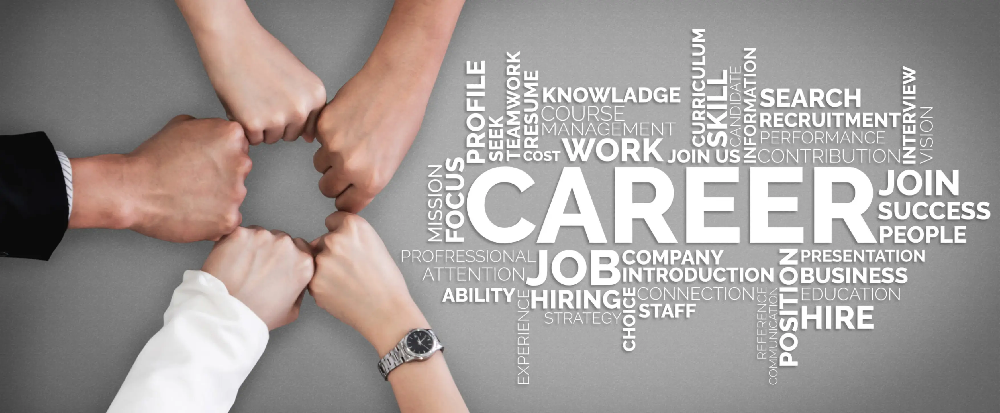 We’re Always Searching For <br> Amazing People to Join Our Team.